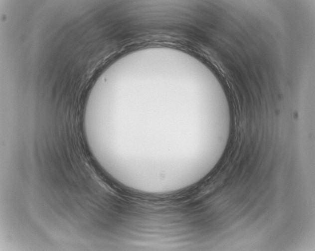 X0000085300411200704092303