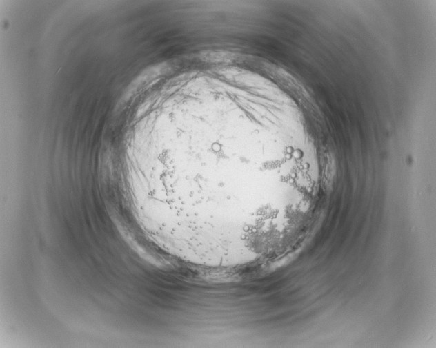 X0000085300414200704092303