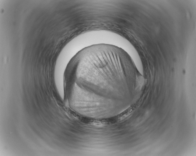 X0000085300416200704092303