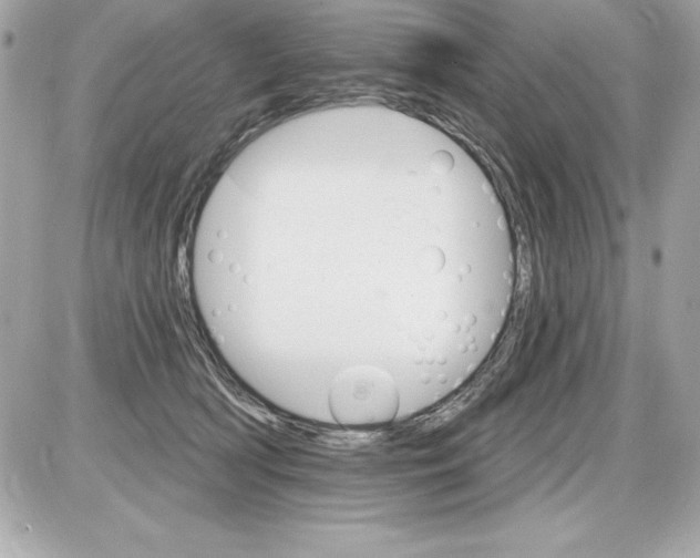 X0000085300418200704092302