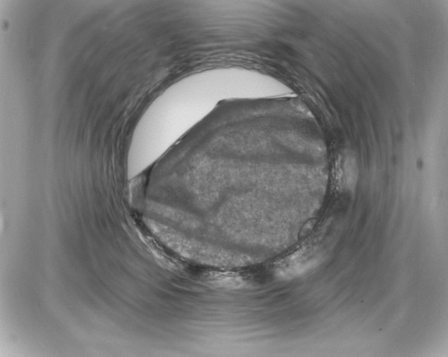 X0000085300424200704092302