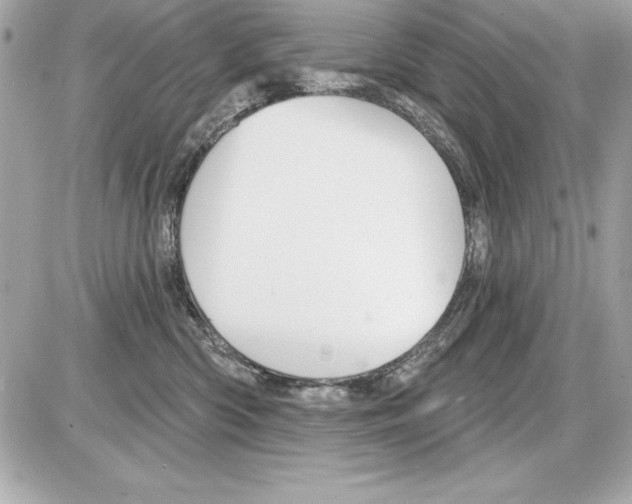 X0000085300426200704092302