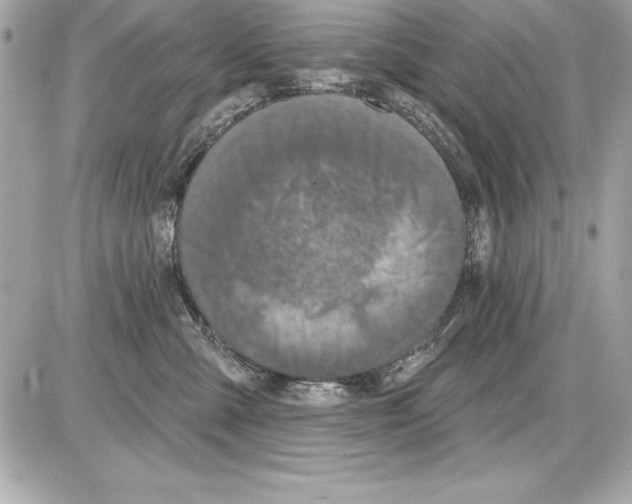 X0000085300427200704092302