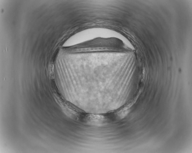 X0000085300429200704092302