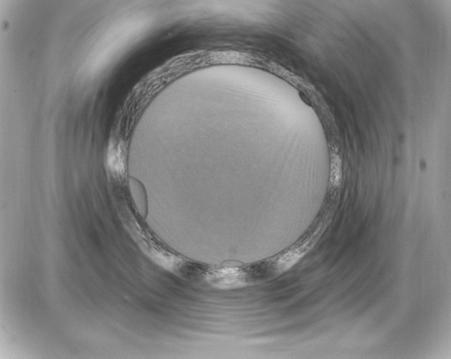 X0000085300431200704092302
