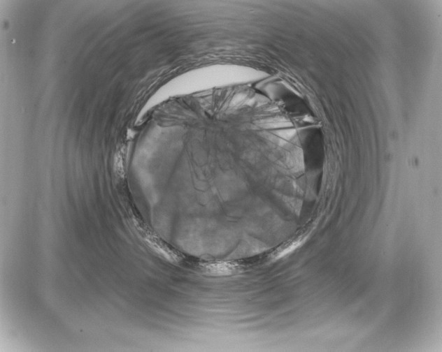 X0000085300432200704092302