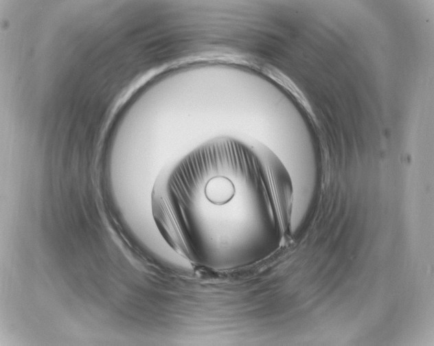 X0000085300436200704092301