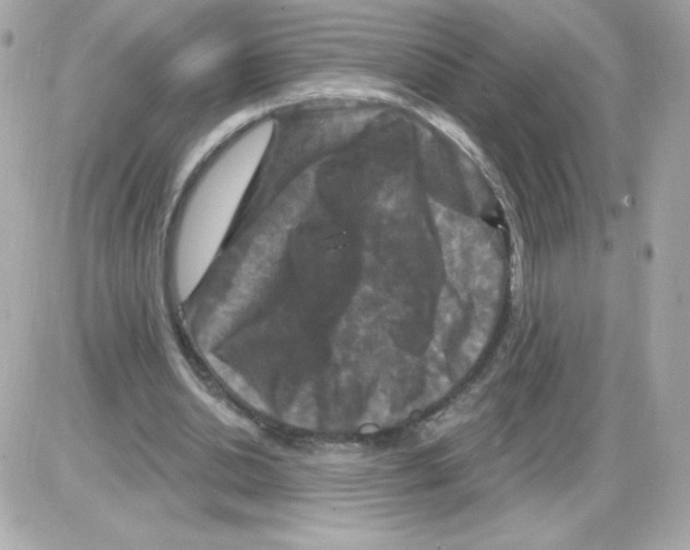 X0000085300438200704092302