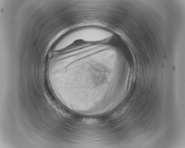 X0000085300440200704092302