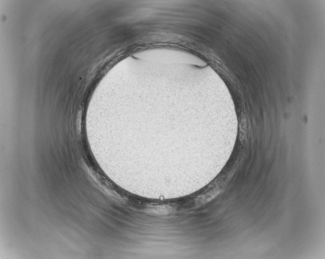 X0000085300454200704092302