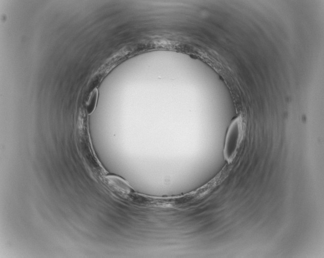 X0000085300456200704092302