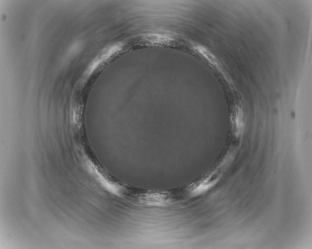 X0000085300462200704092302