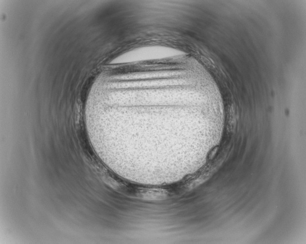 X0000085300463200704092302