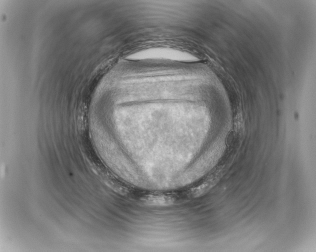 X0000085300464200704092302