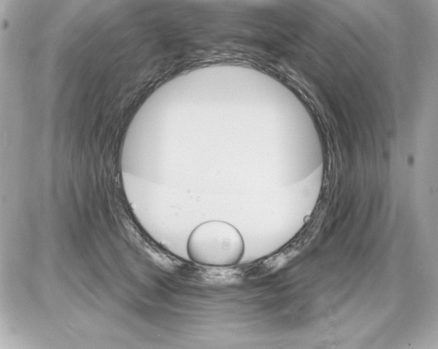 X0000085300465200704092302