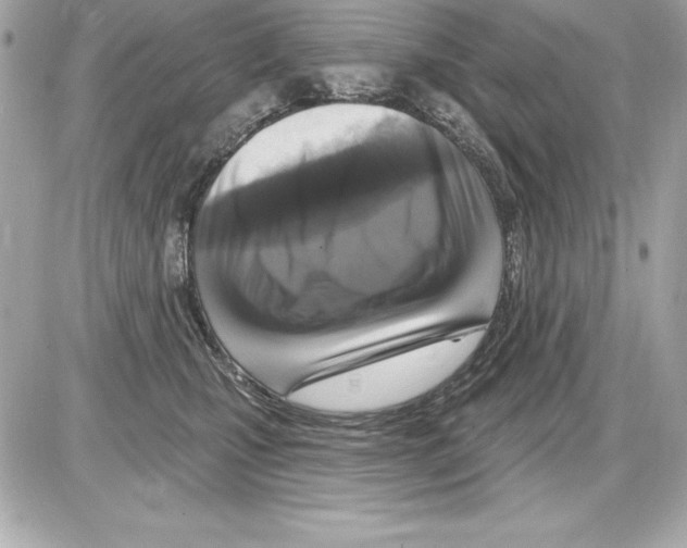 X0000085300471200704092302