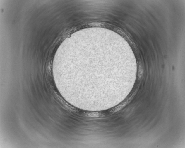 X0000085300473200704092302