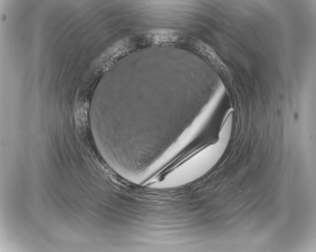X0000085300475200704092302