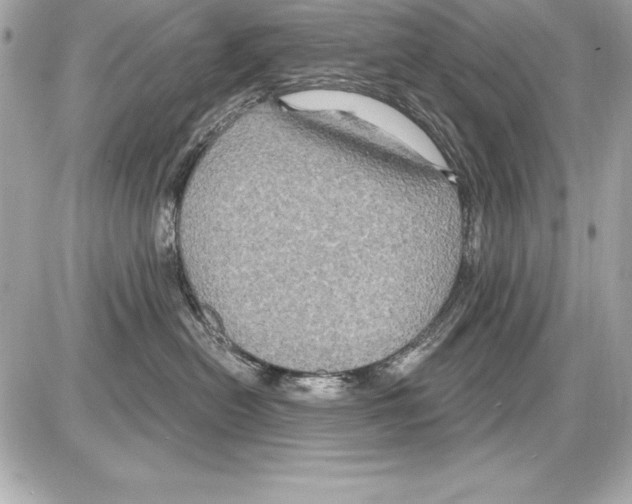 X0000085300478200704092302