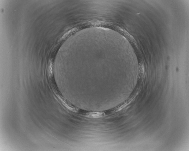 X0000085300479200704092302
