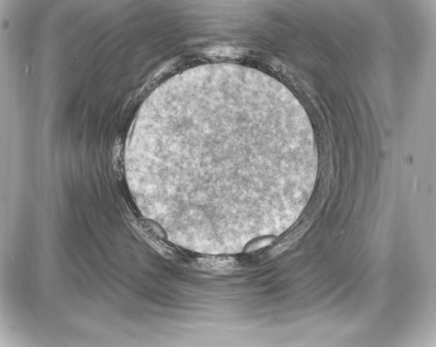 X0000085300480200704092302