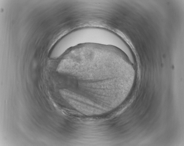 X0000085300481200704092301