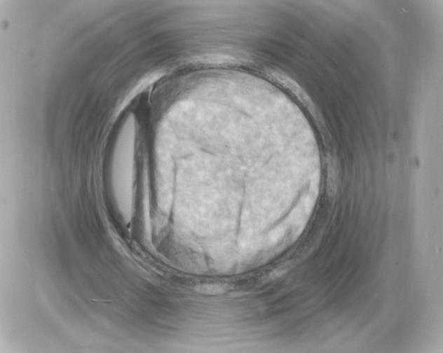 X0000085300482200704092301