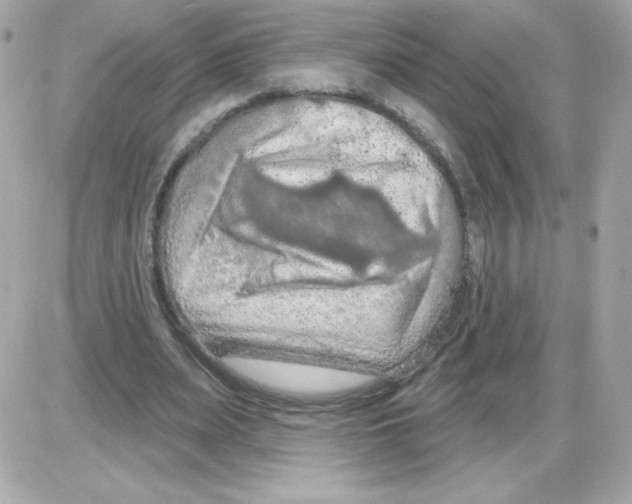 X0000085300487200704092301