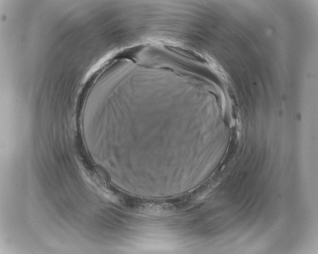 X0000085300488200704092301