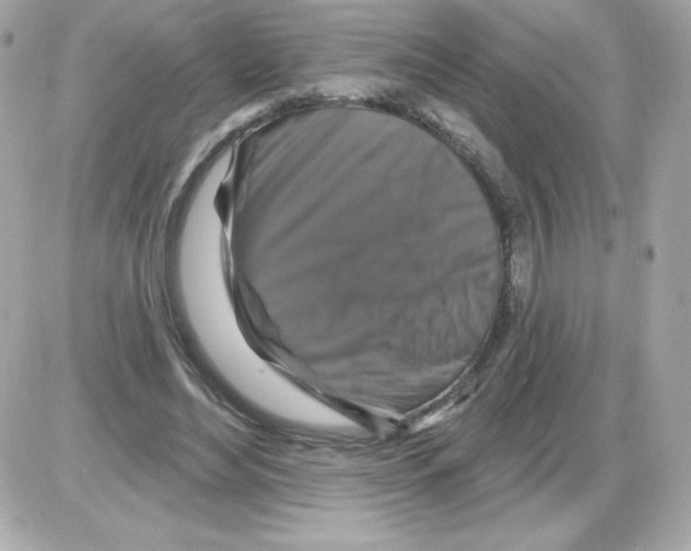 X0000085300492200704092301