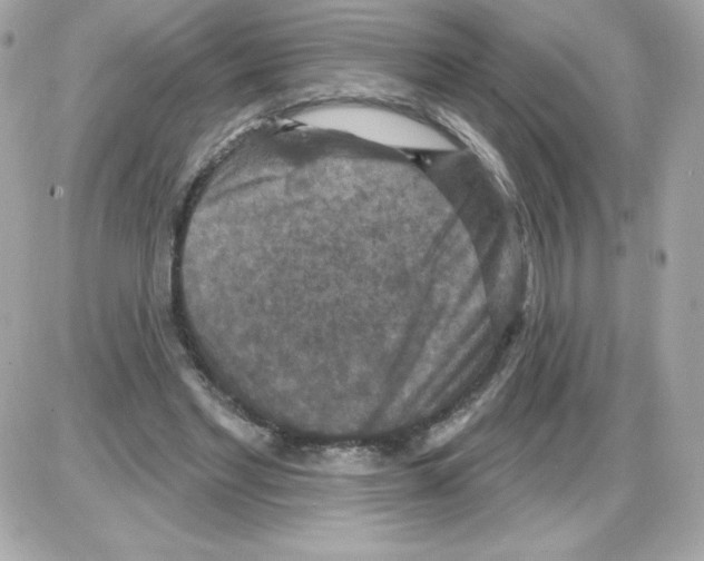 X0000085300493200704092301