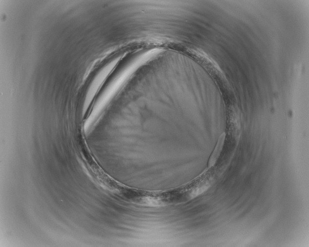 X0000085300496200704092301