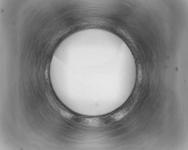 X0000085300498200704092301