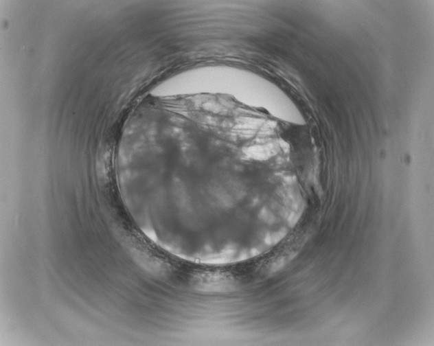 X0000085300503200704092301