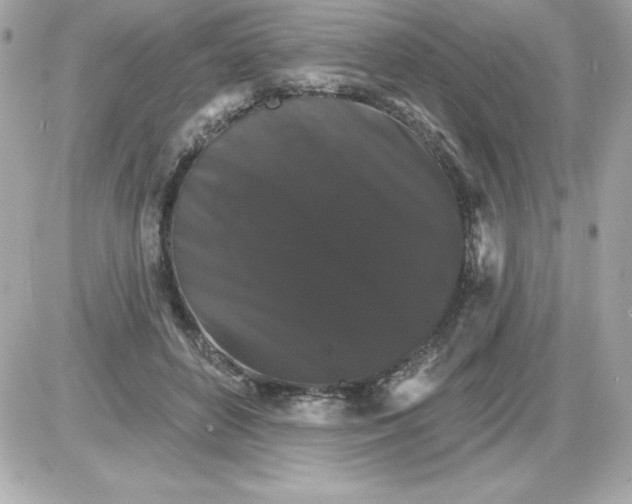 X0000085300504200704092301