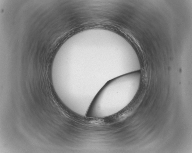 X0000085300505200704092301