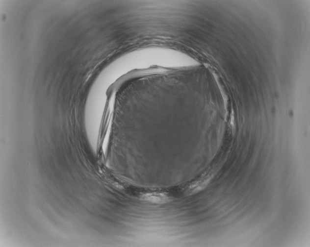 X0000085300508200704092301