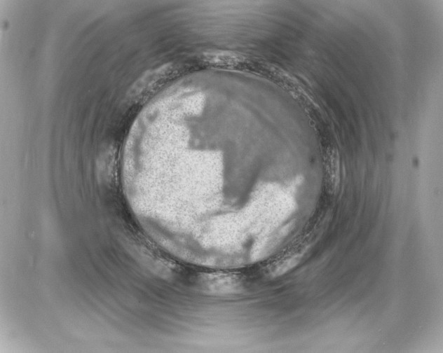 X0000085300511200704092301