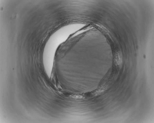 X0000085300512200704092301