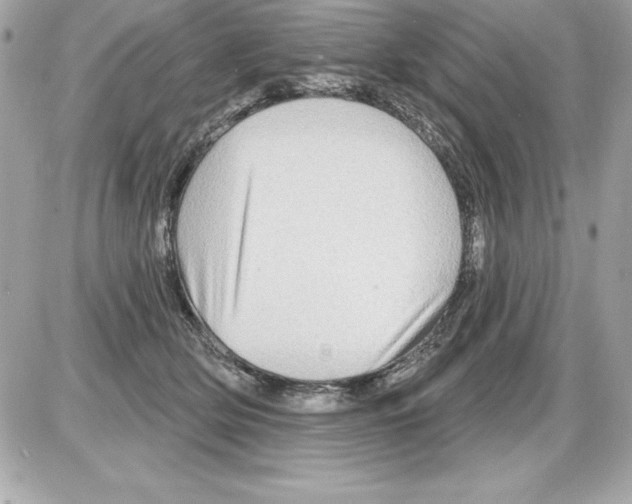 X0000085300514200704092301