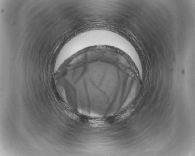 X0000085300516200704092301