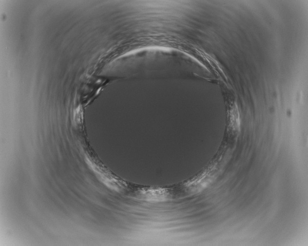 X0000085300517200704092301