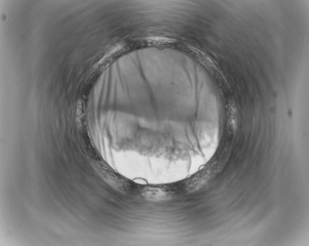 X0000085300519200704092301