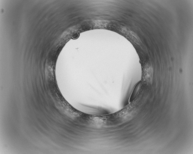 X0000085300522200704092301