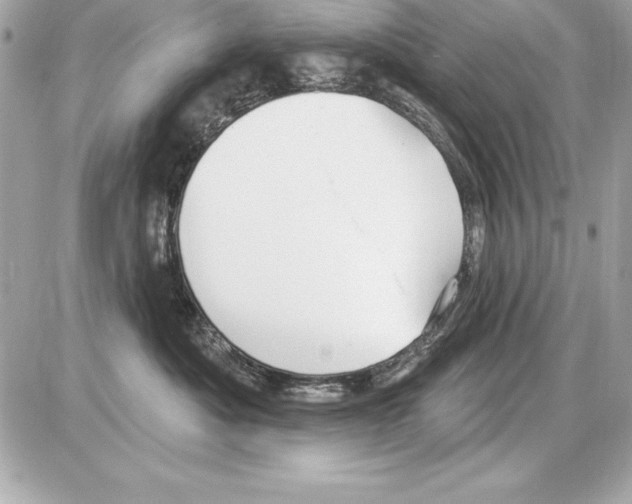 X0000085300525200704092301