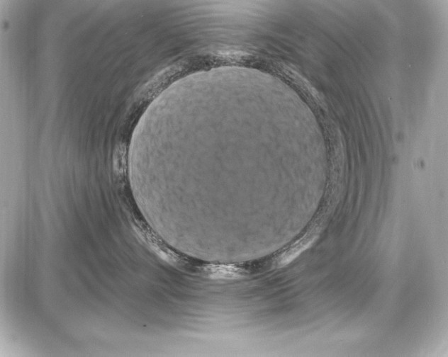 X0000085300528200704092301