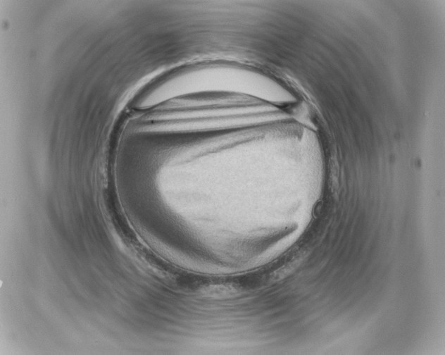 X0000085300536200704092300
