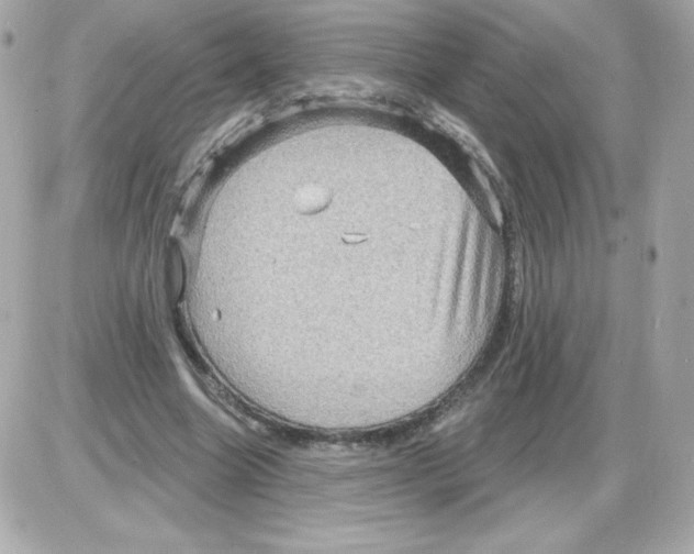 X0000085300538200704092300