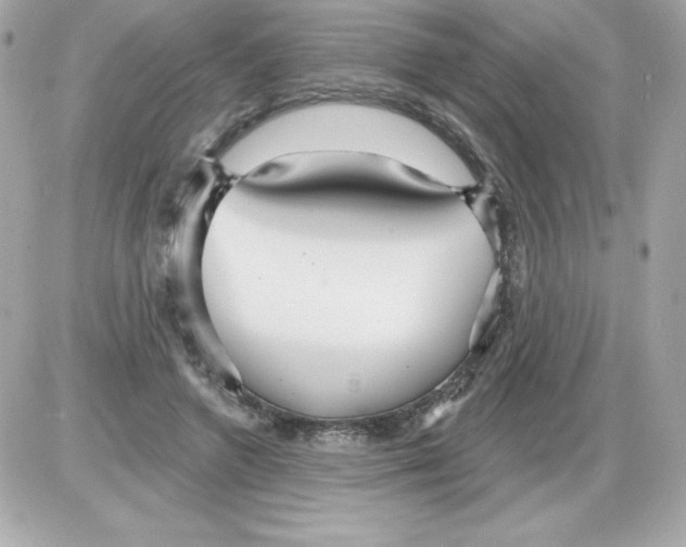 X0000085300546200704092300