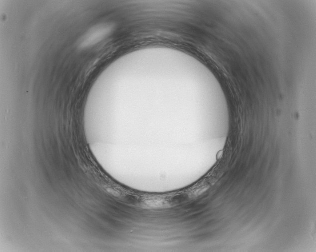 X0000085300547200704092300